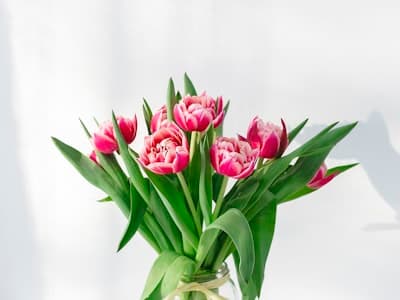 Art floral